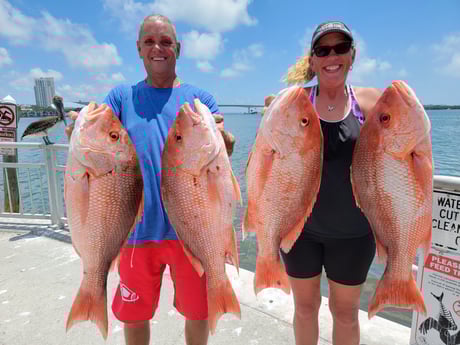 Red Snapper Fishing in Clearwater, Florida