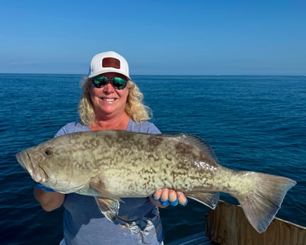 Gag Grouper Fishing in Clearwater, Florida