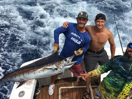 Black Marlin fishing in San Juan, Puerto Rico