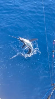 Fishing in Ocean City, Maryland