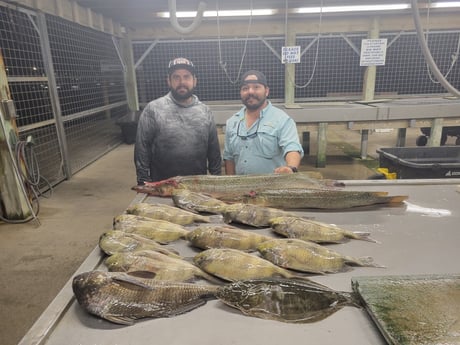 Alligator Gar, Black Drum, Flounder Fishing in Matagorda, Texas