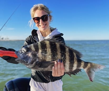 Sheepshead Fishing in Cape Coral, Florida