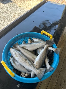 Fishing in St. Bernard, Louisiana