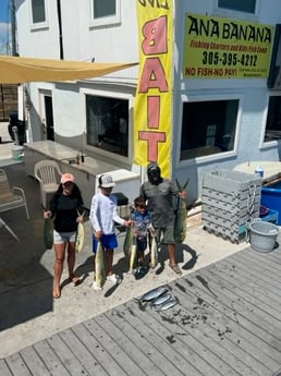 Mahi Mahi Fishing in Marathon, Florida