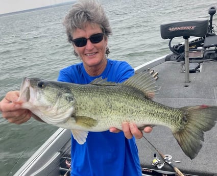 Largemouth Bass fishing in Zapata, Texas