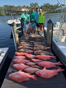 Fishing in Sarasota, Florida