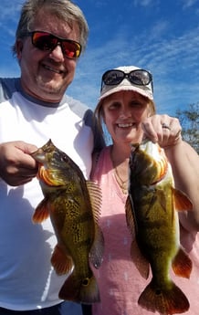 Peacock Bass fishing in Fort Lauderdale, Florida