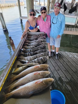 Black Drum, Redfish Fishing in San Leon, Texas