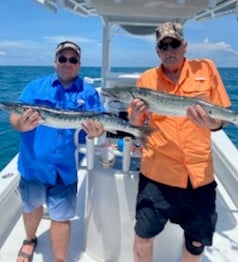 Barracuda fishing in Placida, Florida