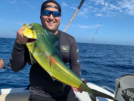 Mahi Mahi / Dorado Fishing in San Diego, California