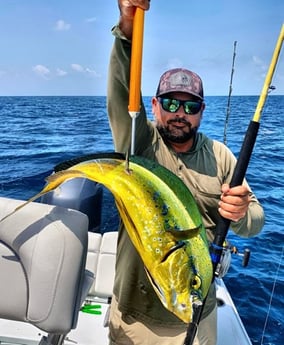 Mahi Mahi Fishing in Tavernier, Florida