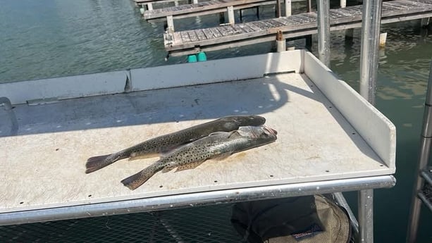 Fishing in South Padre Island, Texas
