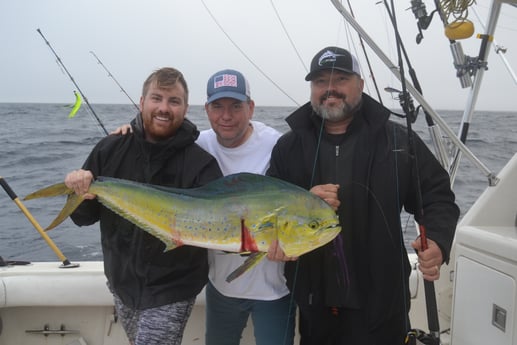 Mahi Mahi / Dorado fishing in Galveston, Texas