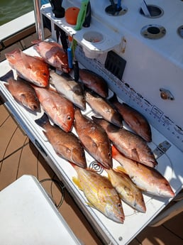 Fishing in Pensacola, Florida