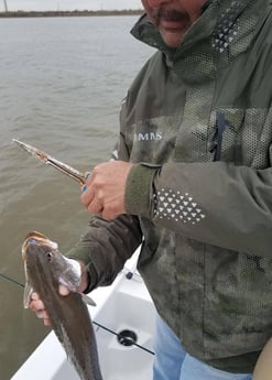 Speckled Trout / Spotted Seatrout fishing in San Leon, Texas