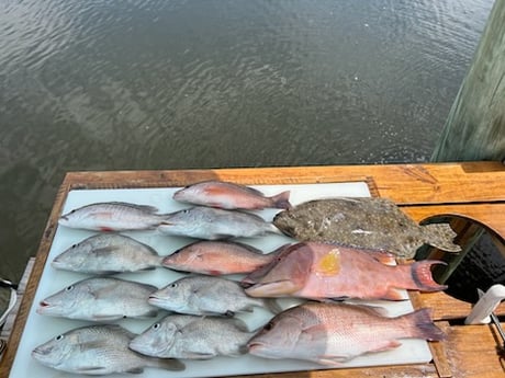 Fishing in Bay Pines, Florida