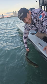 Fishing in South Padre Island, Texas