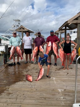 Red Snapper fishing in Dauphin Island, Alabama