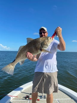 Black Drum fishing in Buras, Louisiana