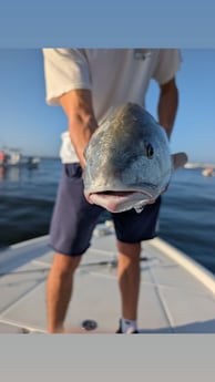 Fishing in Edgewater, Florida