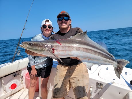Cobia Fishing in Clearwater, Florida