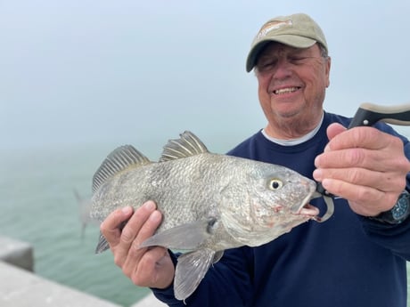 Fishing in Sarasota, Florida