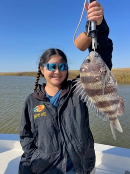 Fishing in Fayetteville, Texas