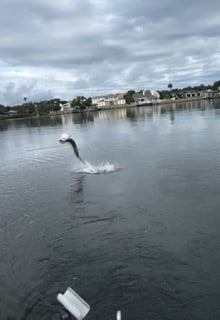 Fishing in New Smyrna Beach, Florida