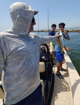 Speckled Trout / Spotted Seatrout fishing in Tiki Island, Texas
