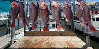 Fishing in Biloxi, Mississippi