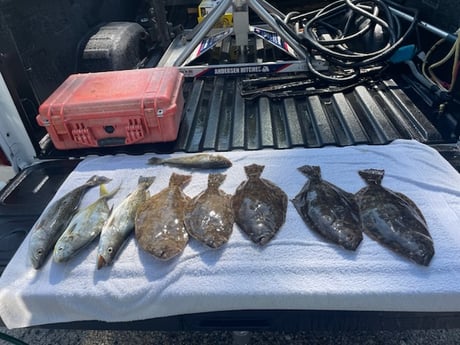 Fishing in Loxahatchee, Florida