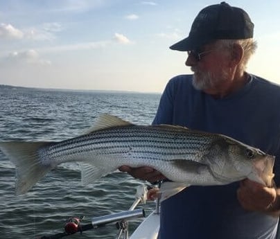 Striped Bass fishing in Pottsboro, Texas