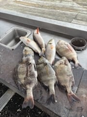 Fishing in Lake Charles, Louisiana