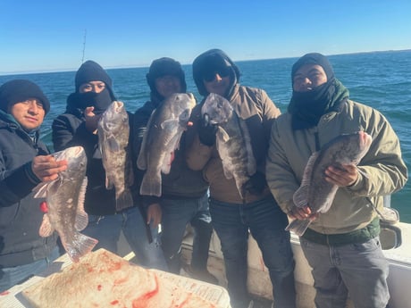 Fishing in Westport, Massachusetts