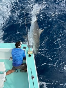 Fishing in Miami Beach, Florida