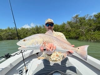 Fishing in Naples, Florida