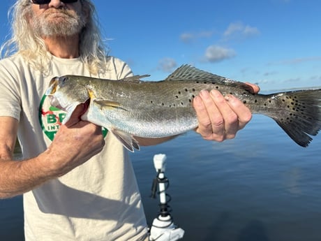 Speckled Trout Fishing in New Orleans, Louisiana