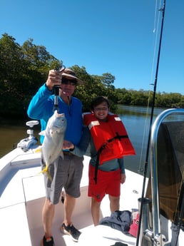 Jack Crevalle fishing in Naples, Florida