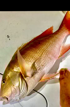 Fishing in Miami Beach, Florida
