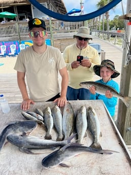 Fishing in Orange Beach, Alabama