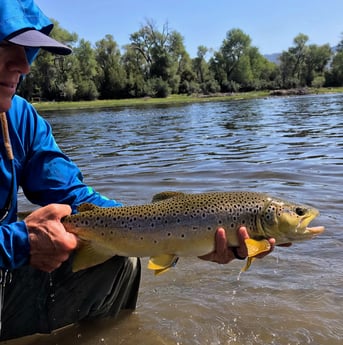 Fishing in Sheridan, Montana