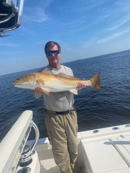 Fishing in Jacksonville, Florida