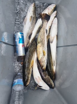 Fishing in Corpus Christi, Texas