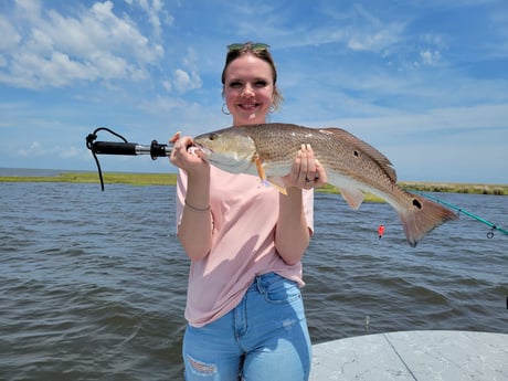 Redfish fishing in St. Bernard, Louisiana