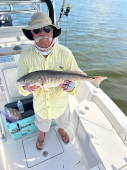 Redfish Fishing in Cape Coral, Florida