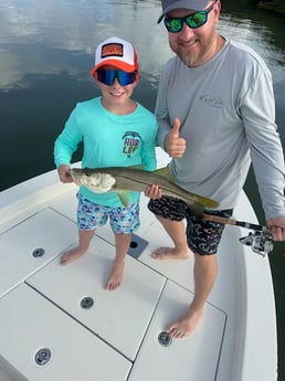 Fishing in Indian Rocks Beach, Florida