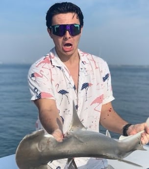 Bonnethead Shark fishing in Mt Pleasant, South Carolina