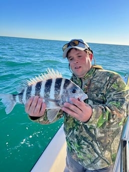 Sheepshead Fishing in Cape Coral, Florida