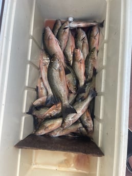 Fishing in Rock Hall, Maryland