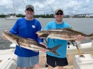 Cobia Fishing in Charleston, South Carolina